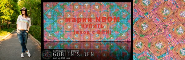 шишки Белоозёрский