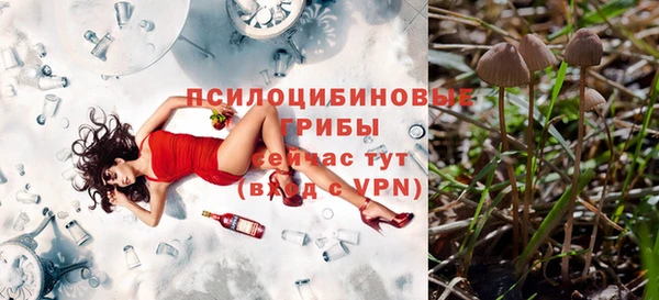 амфетамин Пролетарск