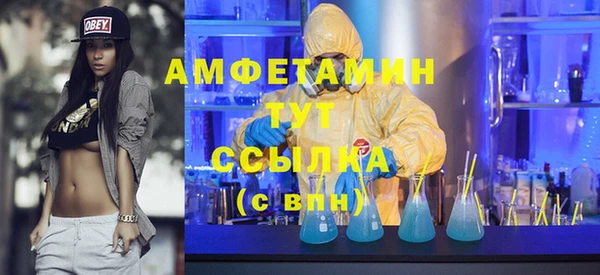 шишки Белоозёрский