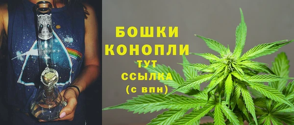 шишки Белоозёрский