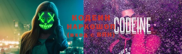 шишки Белоозёрский
