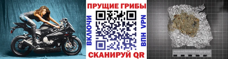 кракен сайт где можно купить Чекалин Галлюциногенные грибы GOLDEN TEACHER